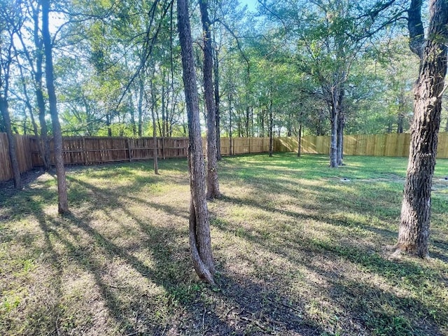 view of yard with a fenced backyard