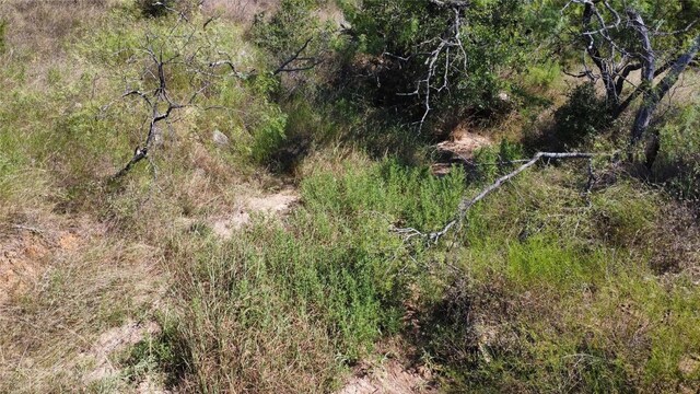 1133 Crk 175, Comanche, TX 76474 - photo 13