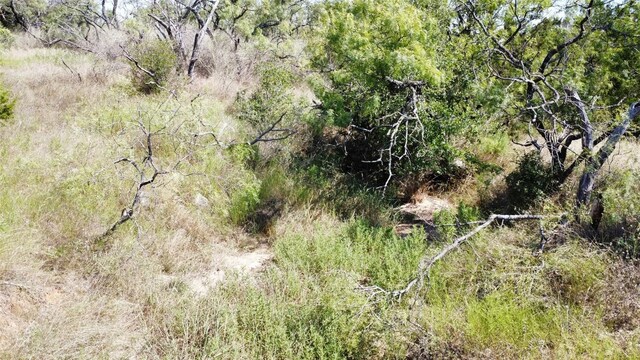 1133 Crk 175, Comanche, TX 76474 - photo 14