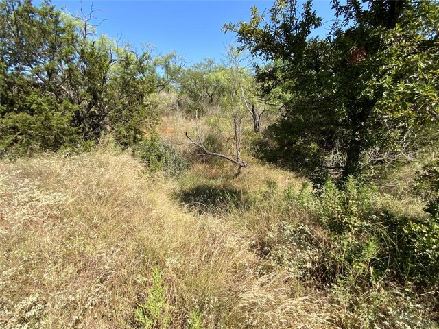 1133 Crk 175, Comanche, TX 76474 - photo 34