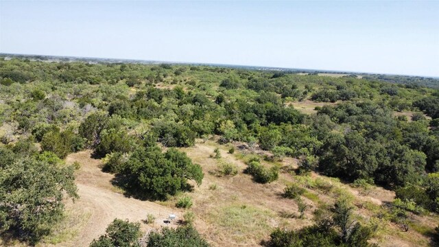 1133 Crk 175, Comanche, TX 76474 - photo 3