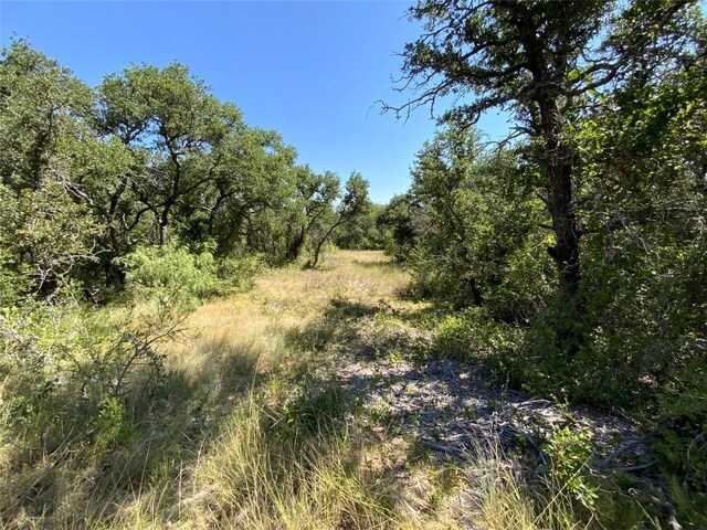 1133 Crk 175, Comanche, TX 76474 - photo 36