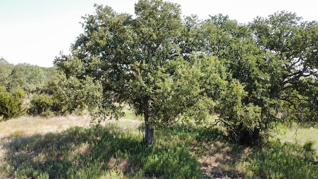 1133 Crk 175, Comanche, TX 76474 - photo 17