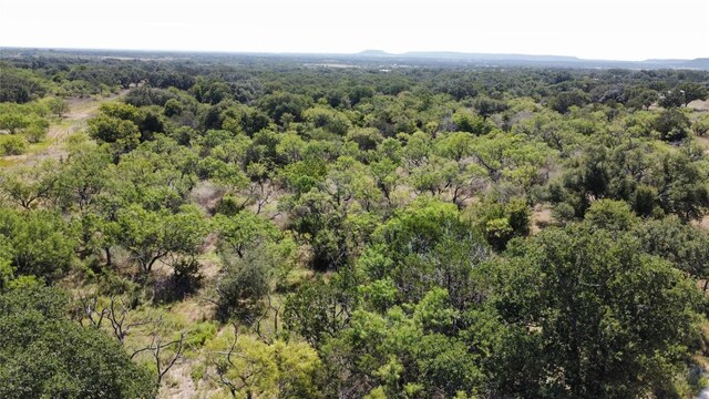 1133 Crk 175, Comanche, TX 76474 - photo 20