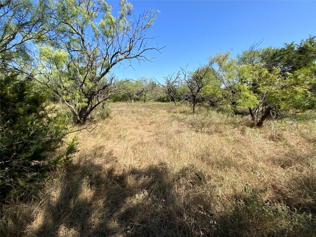 1133 Crk 175, Comanche, TX 76474 - photo 29