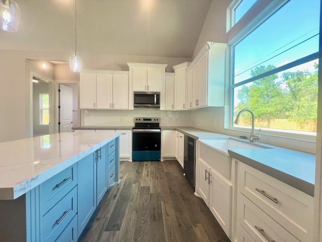 kitchen with stainless steel appliances, hanging light fixtures, dark hardwood / wood-style floors, and white cabinetry