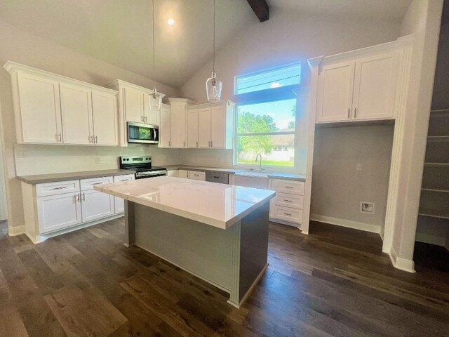 kitchen featuring white cabinets, appliances with stainless steel finishes, dark hardwood / wood-style floors, and a kitchen island