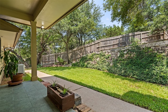 view of yard with a patio area