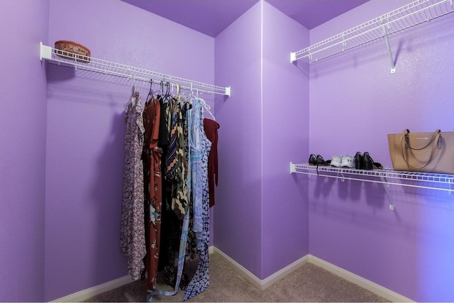 walk in closet featuring carpet floors