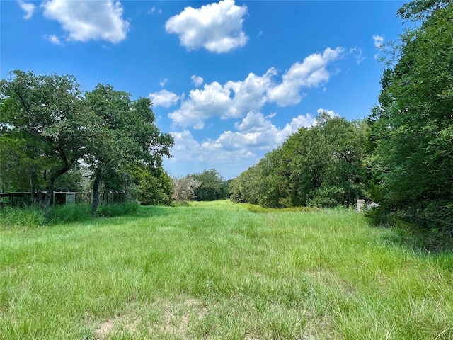 122 Carmen Hill Ln, Bastrop TX, 78602 land for sale