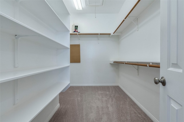 walk in closet with carpet floors