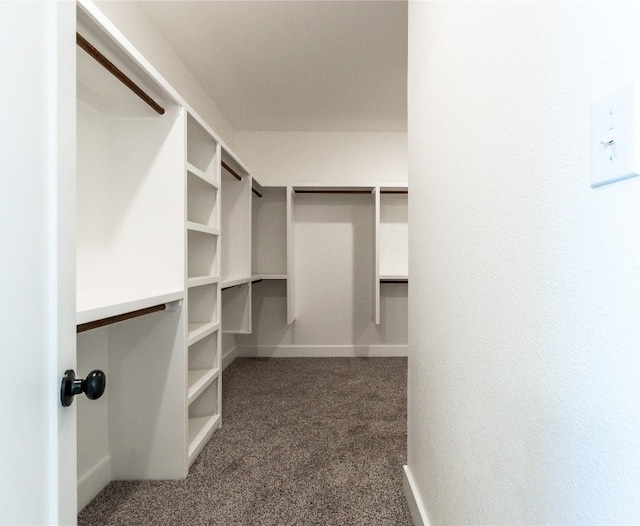 spacious closet featuring dark colored carpet