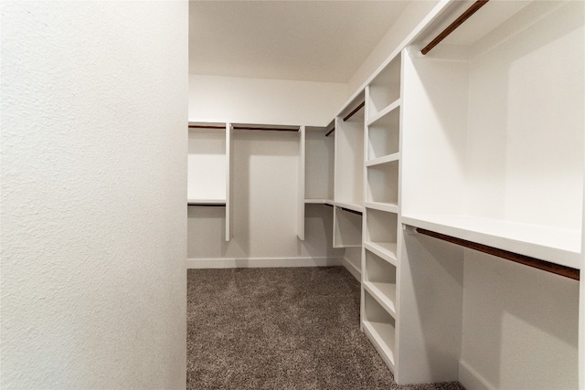 spacious closet with dark carpet