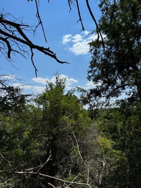 157 Lamaloa Ln, Bastrop TX, 78602 land for sale