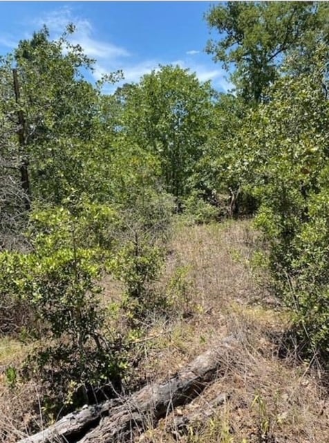 000 Koali Dr, Bastrop TX, 78602 land for sale