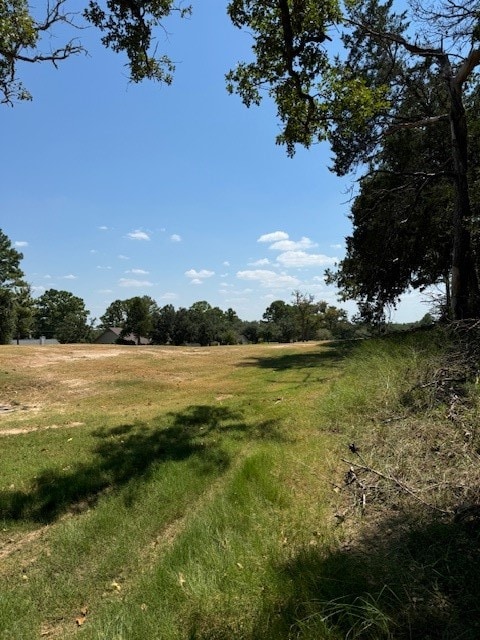 LOT1280 S Kaupo Dr, Bastrop TX, 78602 land for sale