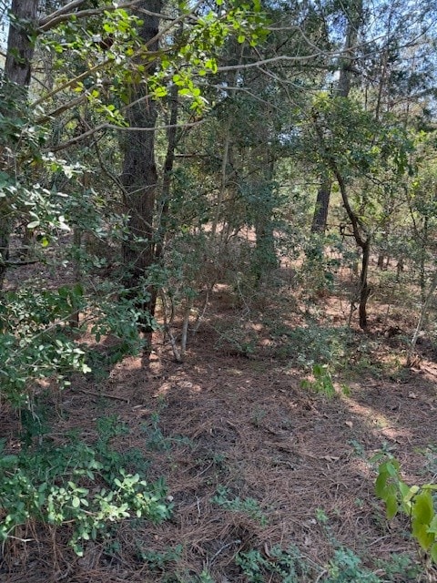 Listing photo 3 for LOT1280 S Kaupo Dr, Bastrop TX 78602