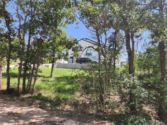 240 Iva Ln, Bastrop, TX 78602 - photo 4