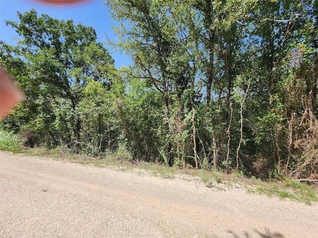 240 Iva Ln, Bastrop, TX 78602 - photo 5