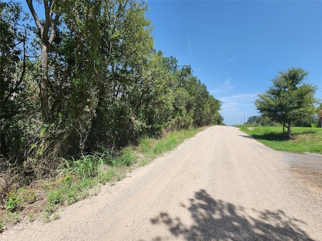 240 Iva Ln, Bastrop, TX 78602 - photo 6
