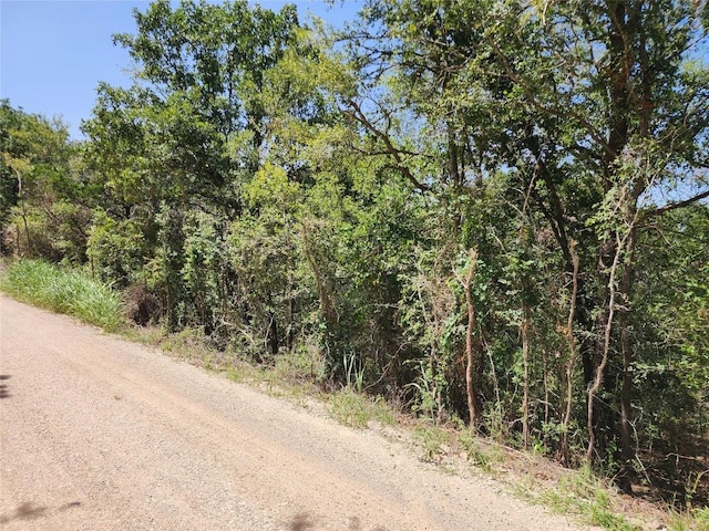 240 Iva Ln, Bastrop, TX 78602 - photo 7