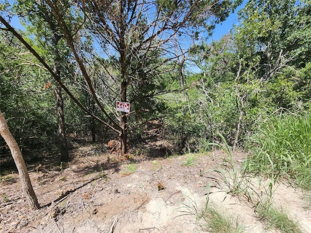 240 Iva Ln, Bastrop, TX 78602 - photo 11