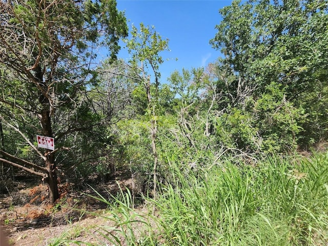 240 Iva Ln, Bastrop, TX 78602 - photo 12