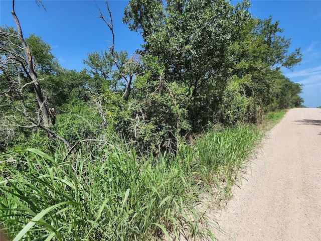 240 Iva Ln, Bastrop, TX 78602 - photo 13