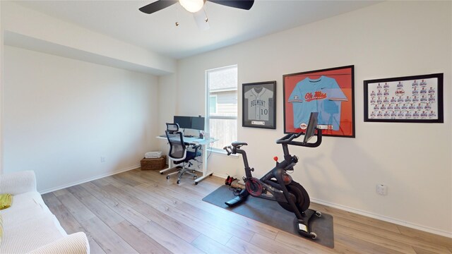 workout room featuring light hardwood / wood-style flooring and ceiling fan