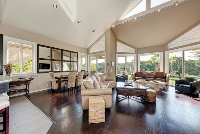 living room featuring high vaulted ceiling and dark hardwood / wood-style floors