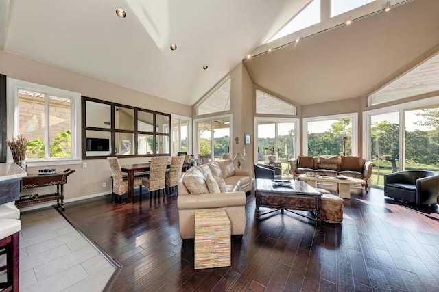 living room with dark hardwood / wood-style flooring and high vaulted ceiling