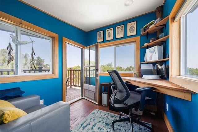 office space with dark wood-type flooring