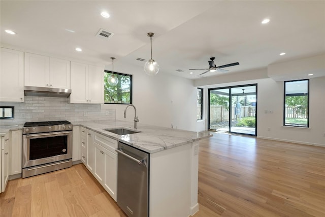 kitchen featuring light hardwood / wood-style flooring, stainless steel appliances, sink, and ceiling fan