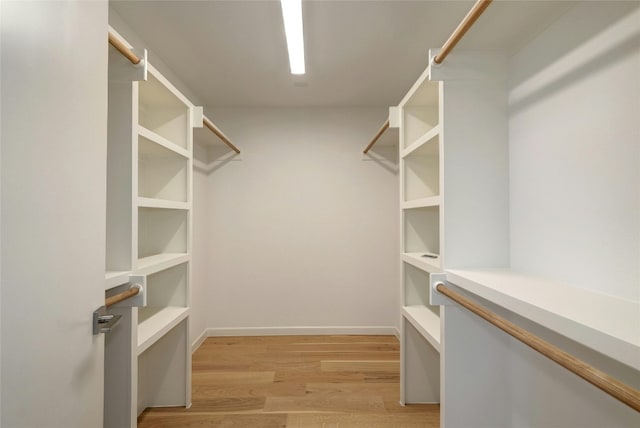 spacious closet featuring light hardwood / wood-style flooring