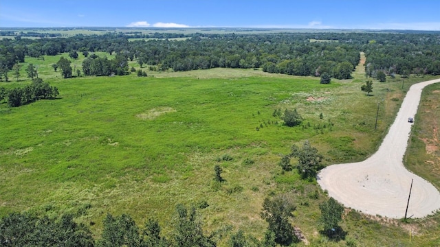 1498 Walleye Creek Trl, Lexington TX, 78947 land for sale