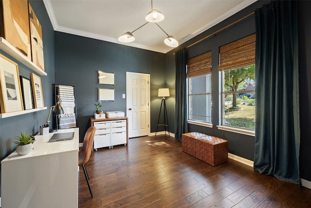 office with ornamental molding and dark hardwood / wood-style floors