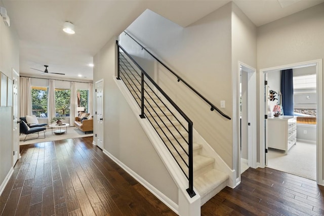 staircase with hardwood / wood-style flooring and ceiling fan