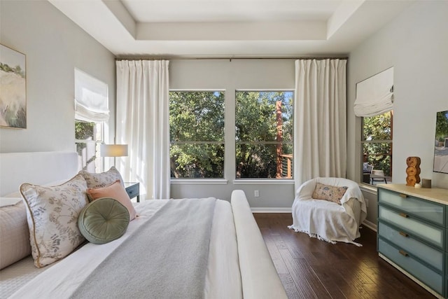 bedroom featuring dark hardwood / wood-style flooring and a raised ceiling