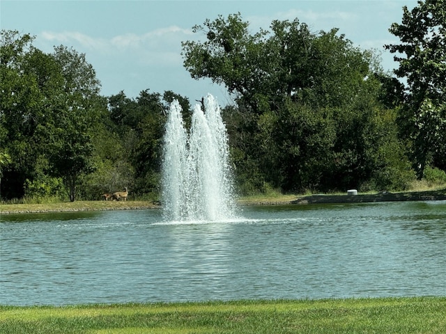 property view of water