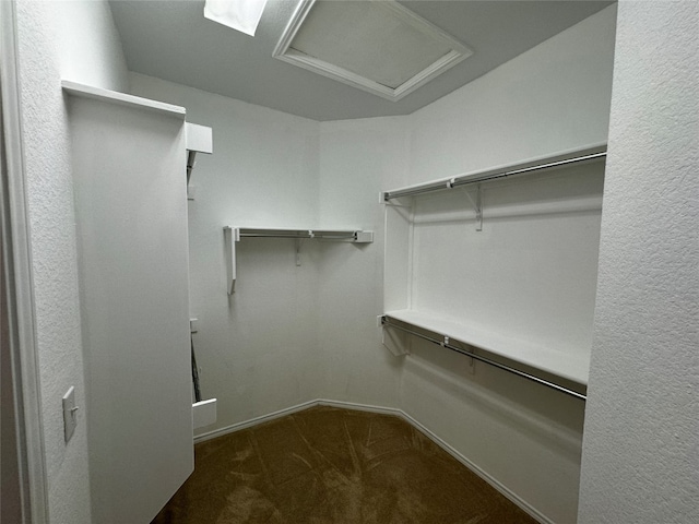 spacious closet with dark colored carpet