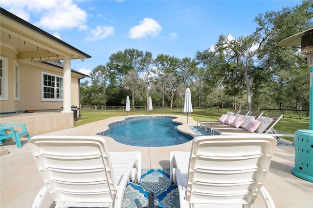 view of pool featuring a patio and a yard