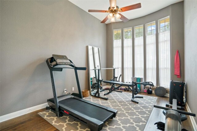 workout area featuring ceiling fan and hardwood / wood-style flooring