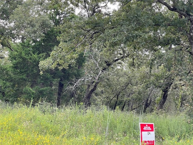 495 Cypress Trail Loop, Rockdale, TX 76567