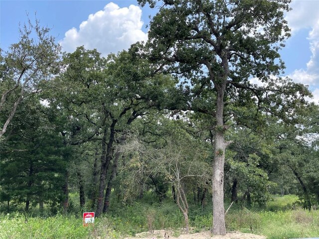 495 Cypress Trail Loop, Rockdale, TX 76567