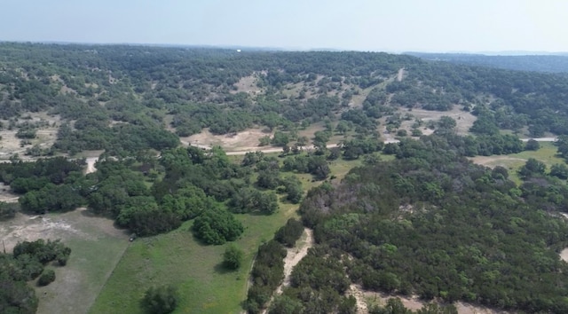 Listing photo 3 for 4697 Rocky Rd, Blanco TX 78606