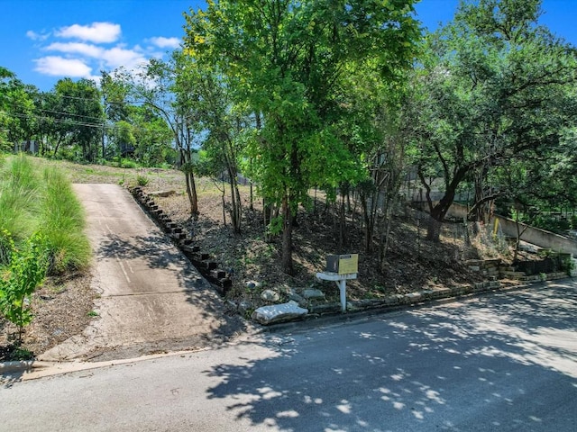 3007 S 4th St, Austin, TX 78704 - photo 9