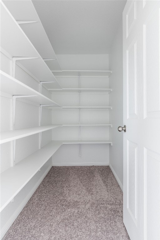 walk in closet featuring light colored carpet