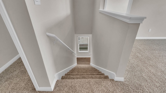 staircase featuring carpet