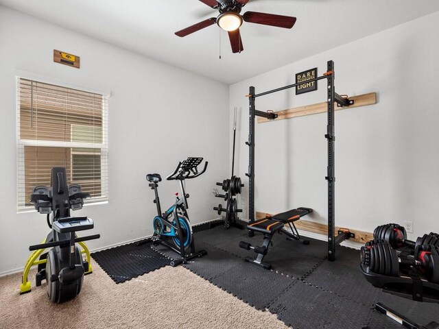 workout area featuring ceiling fan and carpet floors