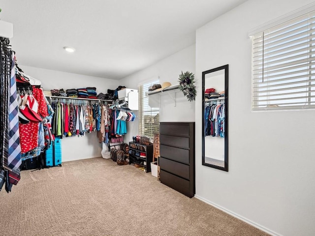 spacious closet with carpet flooring